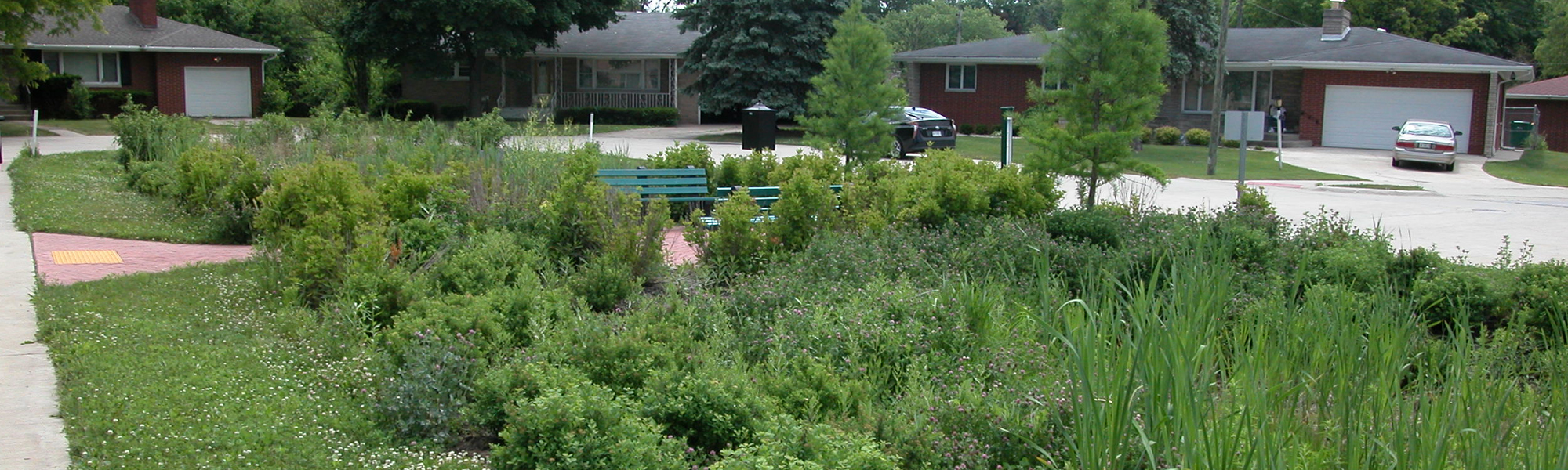 BANNER-54th Court Rain Garden
