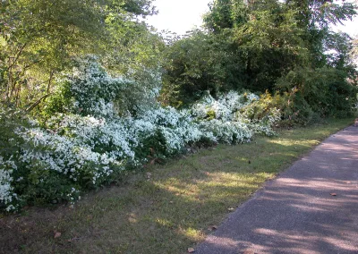 Scherwood Park Master Plan